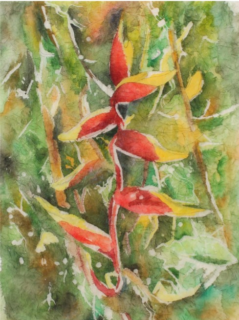 Rosie Brown, Heliconia