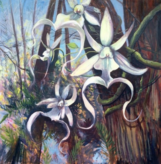 Pat Cummins, Super Ghost Orchids 